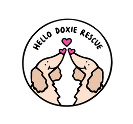 Hello Doxie Rescue 
