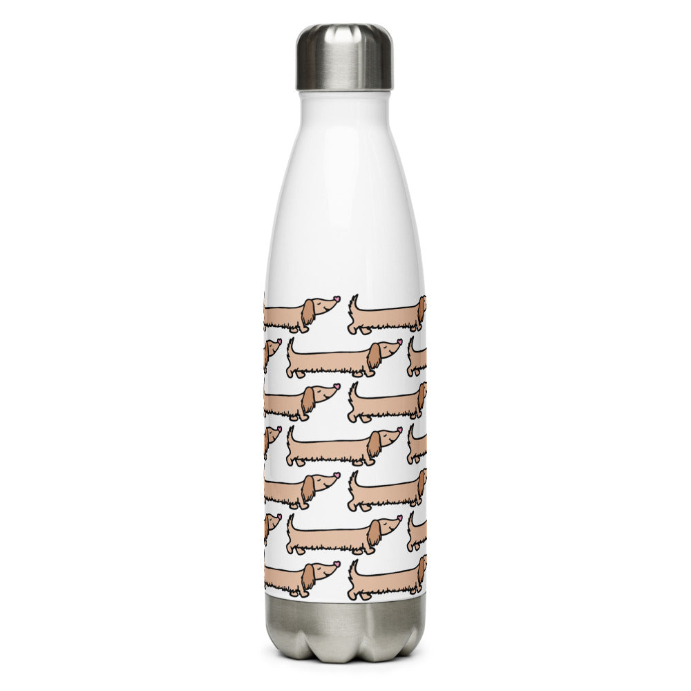 Stainless Steel Water Bottle